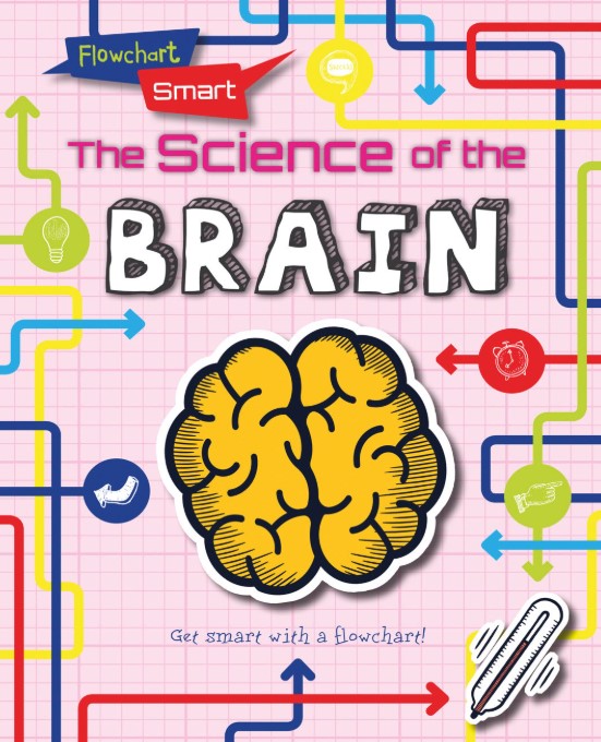 Flowchart Smart The Science Of The Brain